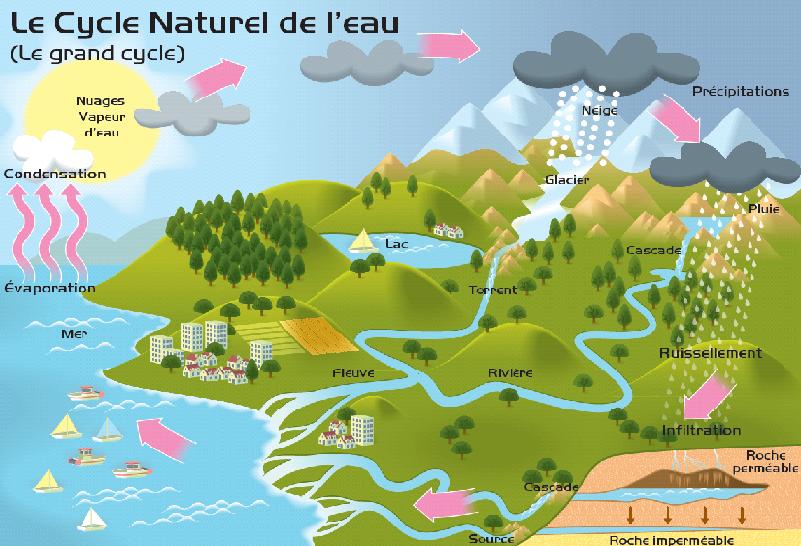 EAU Cycle de l’eau naturel et domestique, syndicat des eaux du saint nicolas
